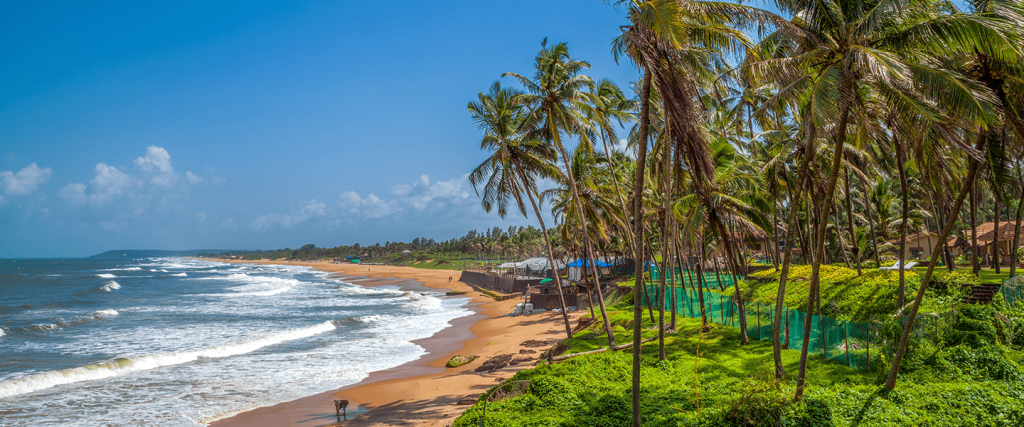 places to vist goa