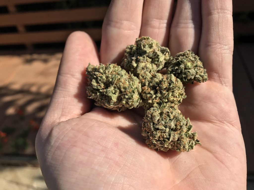 cbd hemp flower