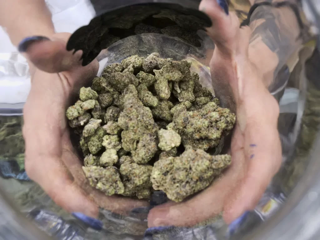 	
weed